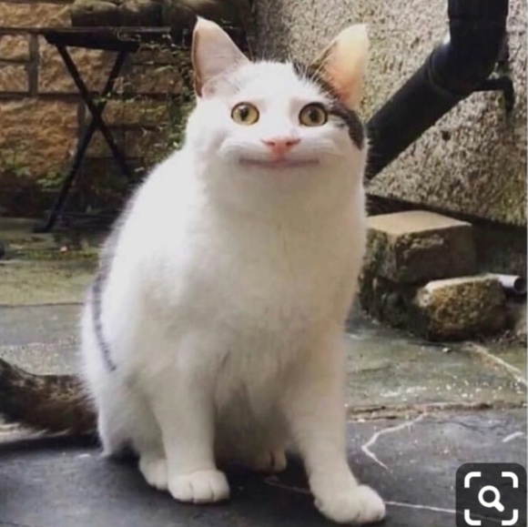 Meet your Posher, Hannah - Picture 1 of 1